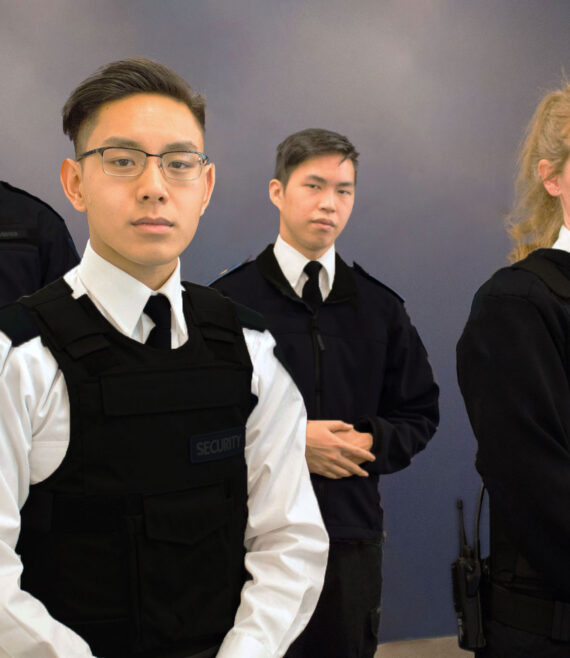 Professional security new img